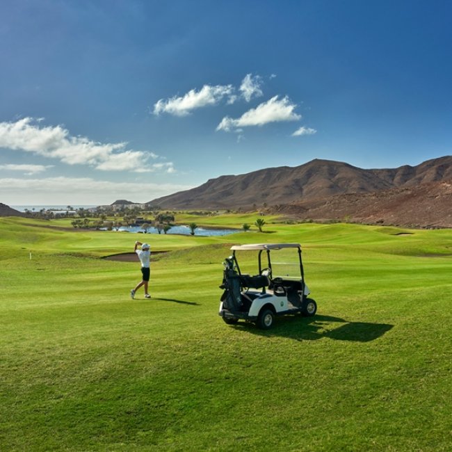 golf court